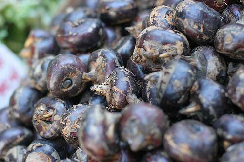 2190678941_fb7d7f8393